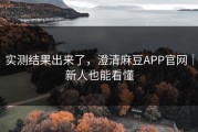 实测结果出来了，澄清麻豆APP官网｜新人也能看懂