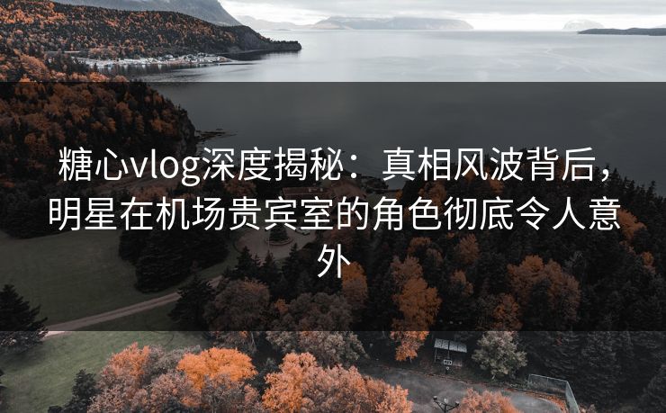 糖心vlog深度揭秘:真相风波背后,明星在机场贵宾室的角色彻底令人意外 糖心vlog深度揭秘:真相风波背后,明星在机场贵宾室的角色彻底令人意外
