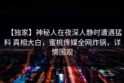 【独家】神秘人在夜深人静时遭遇猛料 真相大白，蜜桃传媒全网炸锅，详情围观
