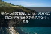 糖心vlog深度揭秘：tangxin风波背后，网红在停车场角落的角色夸张令人意外